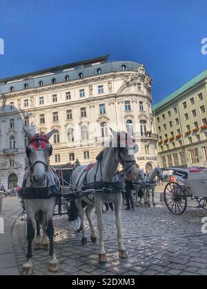 Cavalli e carrozze nella soleggiata Vienna, Austria. Foto Stock