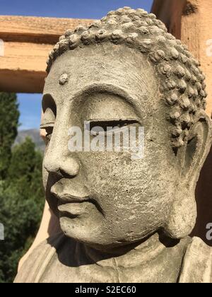 Testa di Buddha Foto Stock
