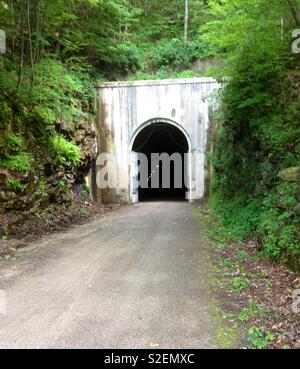 Tunnel di bicicletta sul sentiero di gap Foto Stock