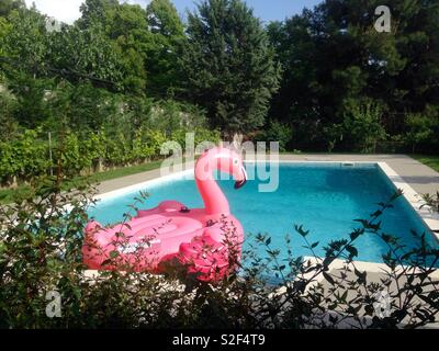 Gonfiabile fenicottero rosa flottante in una piscina su una soleggiata giornata estiva! Foto Stock