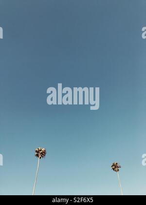 Due alberi di palma e aprire il cielo blu. Manhattan Beach, California USA. Foto Stock