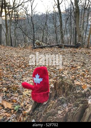 Un rosso perso mitten posto su un ceppo di albero nei boschi. Foto Stock