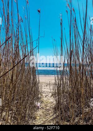 Fosso pianure Beach, Montauk NY Foto Stock