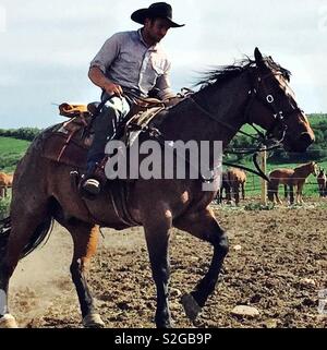 Autentica Wyoming cowboy a cavallo in un round up Foto Stock