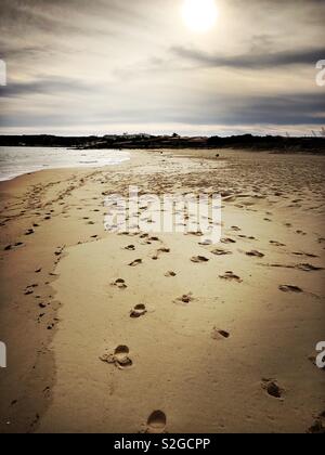 Orme sulla spiaggia Foto Stock