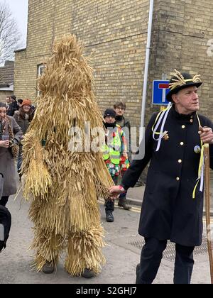 La paglia di orso, Whittlesea, England, Regno Unito Foto Stock