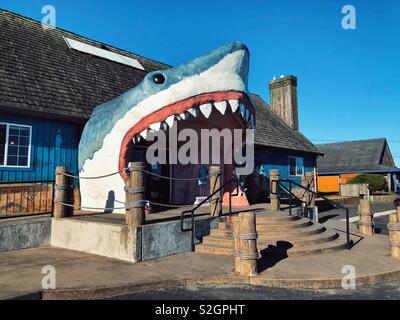 Entrata al negozio regalo a forma di gigante di squalo aperto la testa piena di denti in Ocean Shores, WA Foto Stock