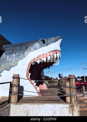 Entrata al negozio regalo a forma di gigante di squalo aperto la testa piena di denti in Ocean Shores, WA Foto Stock