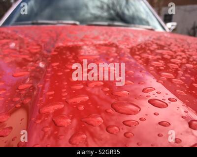 Gocce di pioggia su sport auto del cappuccio rosso Foto Stock