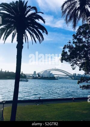 Le palme che incorniciano la splendida vista del Ponte del Porto di Sydney e la Opera House di tutta l'acqua nei giardini botanici, Australia, NSW Foto Stock