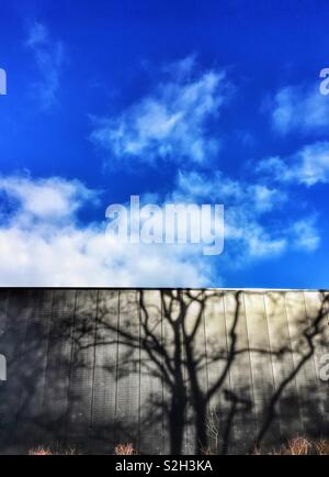 Ombra di albero sul muro nero contro il cielo blu con nuvole bianche Foto Stock