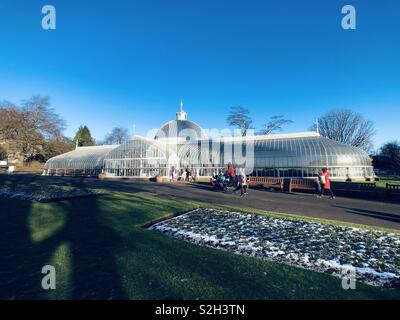 Il Palazzo di kibble, Glasgow Botanic Gardens. La Scozia. Regno Unito. Foto Stock