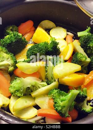 Fritture medley vegetale sulla sommità della stufa, STATI UNITI D'AMERICA Foto Stock