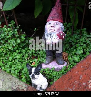 Gnomo da giardino e il suo pet bulldog francese Foto Stock