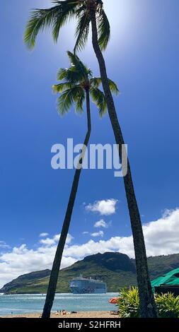 Nave in palm Foto Stock