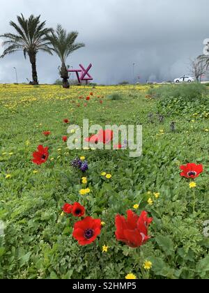Inizio della primavera fiorisce in alture del Golan in Israele. Foto Stock