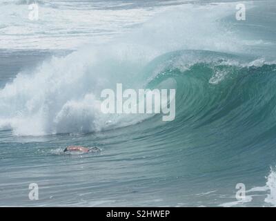 Surfers al Jetty Coffs Harbour Boogie board piloti Foto Stock