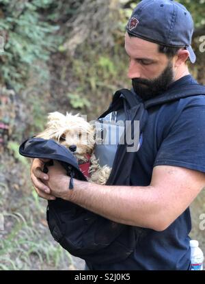 L'uomo porta con amore cucciolo in casa fatta papoose Foto Stock