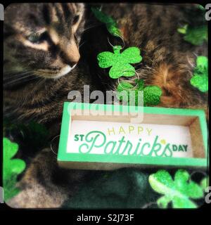 Felice il giorno di San Patrizio🍀 Foto Stock