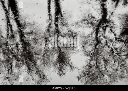 Gocce di pioggia in acqua con riflessioni di alberi creazione di modelli astratti Foto Stock