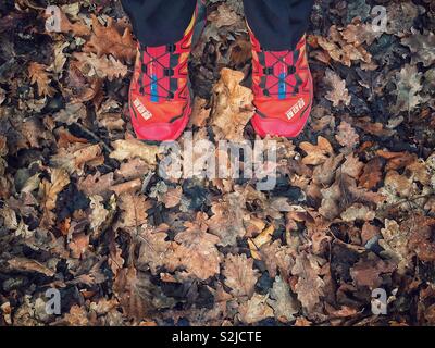 Una coppia di trail running Scarpe su marrone decadendo foglie sul suolo della foresta Foto Stock