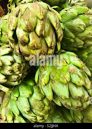 Carciofi freschi Foto Stock