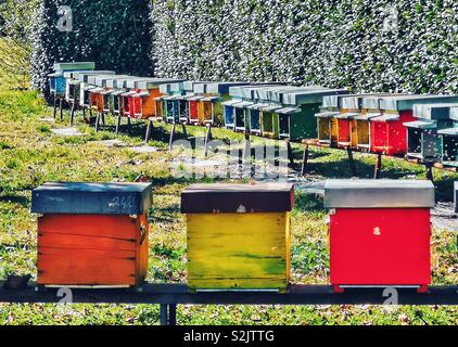 Colorato alveari, Italia Foto Stock