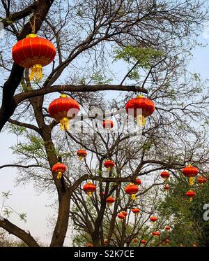 Rosso lanterne cinesi pendenti da alberi da una strada a Pechino in Cina Foto Stock