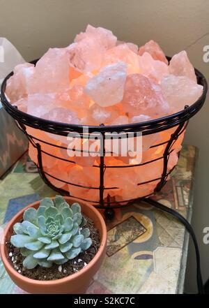 Sale Himalayano lampada rock e cesto di piante succulente decoupage su piedistallo da tavolo Foto Stock