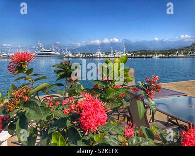 Una tranquilla giornata di sole a marina in Costa Rica. Foto Stock