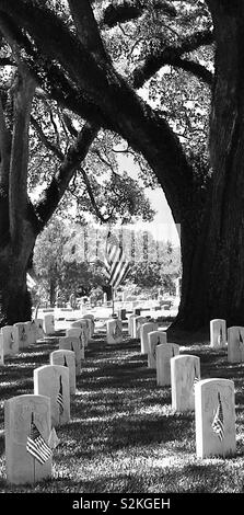 American Flags attraverso The Oaks. Magnolia Cemetery, Mobile Alabama Foto Stock