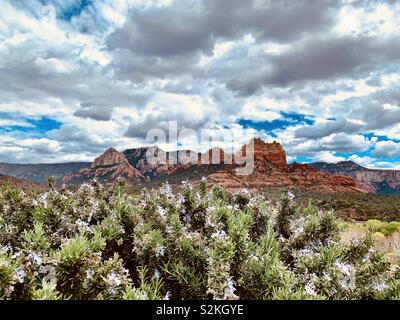 A Sedona in Arizona, paesaggio che mostra il famoso red formazioni rocciose sotto un cielo blu. Foto Stock