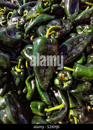 Telaio completo delle migliori carni deliziose verdi maturi peperoni poblano sul display e in vendita presso la locale produzione di mercato. Foto Stock