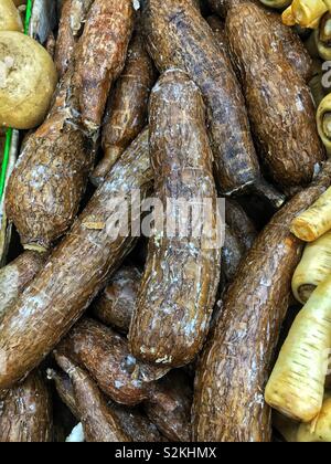 Delizioso dolce gustoso e perfetto scelta Manihot esculenta, manioca, manioca yuca, macaxira, "mandioca", aipim e il Brasiliano di arrow-sul display e in vendita presso la locale produzione di mercato. Foto Stock