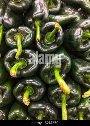 Telaio completo di deliziosi piatti freschi verdi maturi peperoni poblano sul display e in vendita presso la locale produzione di mercato. Foto Stock