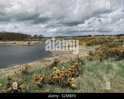 Waldringfield, Suffolk, Regno Unito - 26 Aprile 2019: Drammatico cielo nuvoloso su un fiume a piedi. Foto Stock