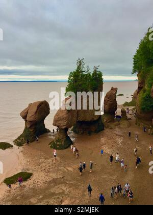 Hopewell Rocks in New Brunswick Canada Foto Stock