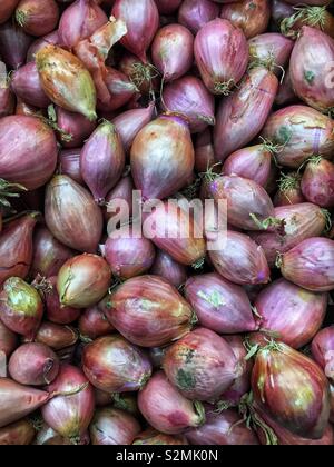 Telaio completo di deliziosi piatti freschi maturi di scalogni sul display e in vendita presso la locale produzione di mercato. Foto Stock