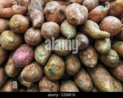 Pila di freschi maturi deliziose patate dolci sul display e in vendita presso la locale produzione di mercato. Foto Stock
