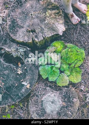 I piedi dei bimbi con "tatuaggi" stare vicino a ceppi di alberi, uno con verde muschio su di esso Foto Stock