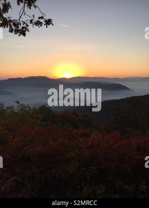 Sunrise e la nebbia di mattina in Joyce Kilmer-Slickrock deserto, NC Foto Stock