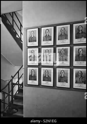 Una selezione di fotografie ritratto adorna le pareti di un edificio presso il nazista di campo di concentramento di Auschwitz in Oświçeim, Polonia. Queste persone sono state quasi certamente vittime dell'Olocausto. © CH. Foto Stock