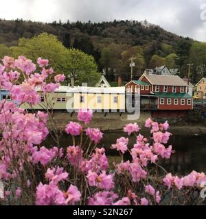 Vista dal ponte di fiori, Shelburne Falls, Massachusetts, Stati Uniti Foto Stock