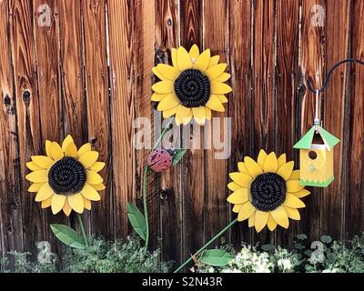 Giardino nel cortile recinto e fiori decorativi Foto Stock