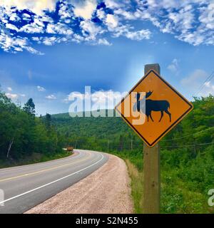 Moose cartello stradale in Cape Breton Island in Canada Foto Stock