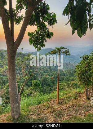 Scenario paesaggistico - Sierra Nevada giungla e le montagne di Santa Marta, Colombia. Foto Stock
