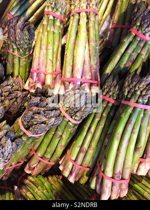 I grappoli di appena raccolto di punte di asparagi e stocchi su un mercato in stallo per un organico di origine vegetale immagine di sfondo con spazio di copia Foto Stock