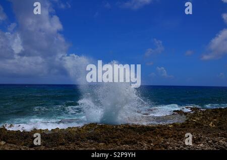 Grand Cayman- blowhole Foto Stock