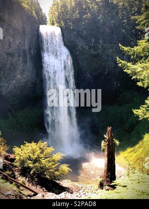 Salt Creek Falls in Willamette National Forest in Oregon, USA. Foto Stock