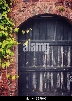 Vecchia porta di legno in una parete di mattoni. Foto Stock